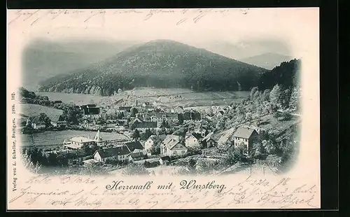 AK Herrenalb, Gesamtansicht mit Wurstberg