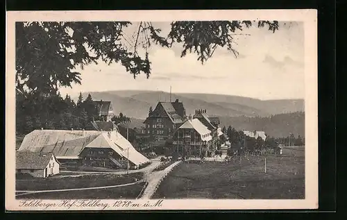 AK Feldberg / Schwarzwald, Hotel Feldberger Hof