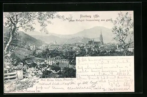 AK Freiburg i. Br., Ortsansicht vom Rebgut Sonnenberg aus gesehen