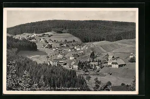 AK Eisenbach / Schwarzwald, Gesamtansicht