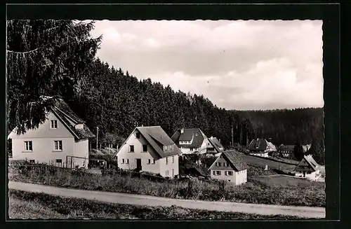 AK Friedenweiler / Schwarzwald, Häuser an der Schillings-Allee