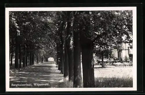 AK Wapenveld, Berghuizerlaan