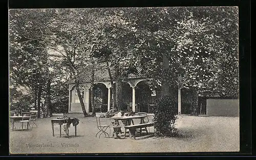 AK Montferland, Veranda