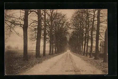 AK Wilp, Molen-Allee