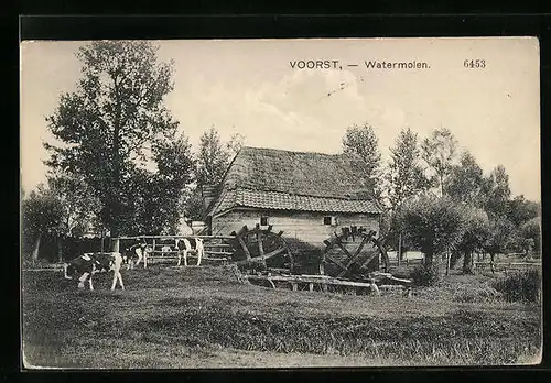 AK Voorst, Watermolen