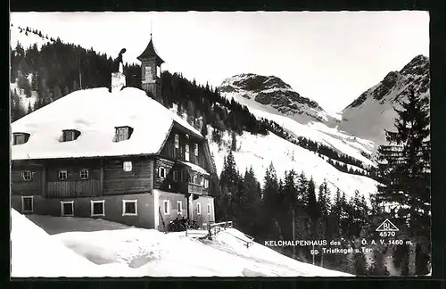 AK Kelchalpenhaus, Berghütte gegen Tristkogel u. Tor