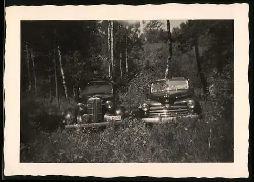 Fotografie Auto Cabrio, US-Car, PKW's am Waldrand geparkt