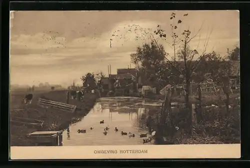 AK Rotterdam, Panorama