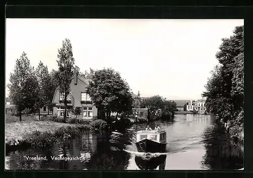 AK Vreeland, Vechtgezicht