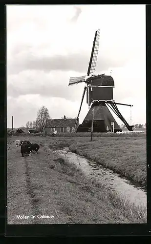 AK Cabauw, Molen, Windmühle