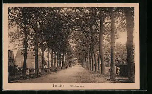 AK Soestdijk, Rijksstraatweg, Panorama