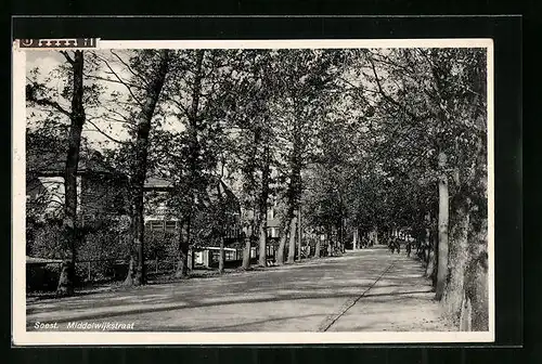 AK Soest, Middelwijkstraat, Panorama