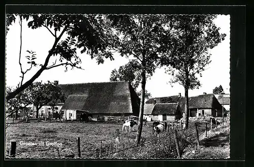 AK Grolloo, Saksische Boerderij Het Witte Huis