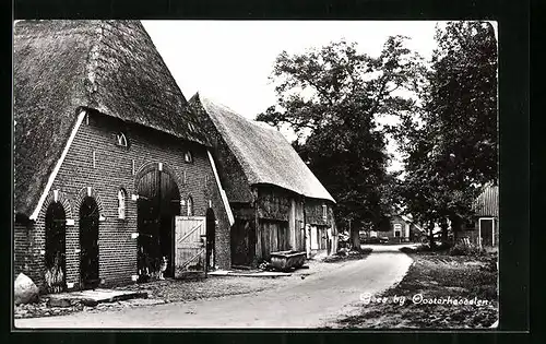 AK Gees bij Osterhesselen, Ortspartie