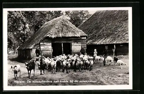 AK Havelte, De schaapherders met kudde bij de schaapskooi