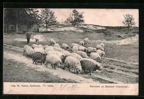 AK Zeegze, Schäfer mit Hund und seiner Herde