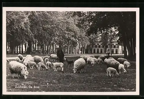 AK Zuidlaren, De Brink
