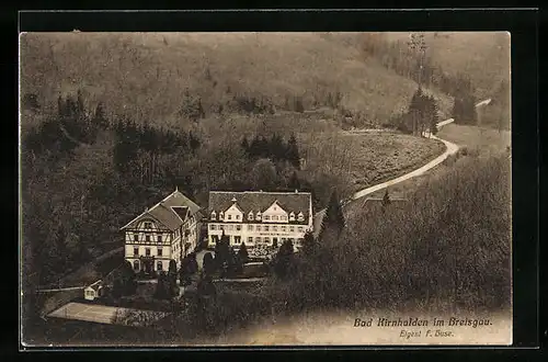 AK Bad Kirnhalden im Breisgau, Landhäuser aus der Vogelschau