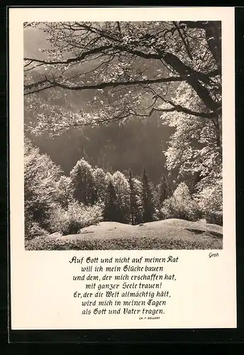 Foto-AK Ernst und Bernhard Groh: Bergwald in der Frühlingssonne, Christlicher Sinnspruch von Ch. F. Gellert