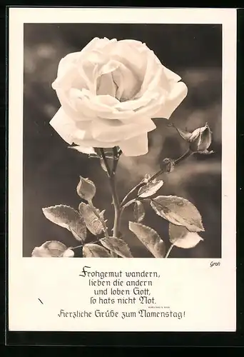 Foto-AK Ernst und Bernhard Groh: Weisse Rose, Christlicher Sinnspruch von Margarete Rode