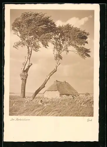 Foto-AK Ernst und Bernhard Groh: Friesenkate im Herbststurm