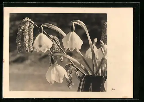 Foto-AK Ernst und Bernhard Groh: Vase voller Märzenbecher und Birkenzweige