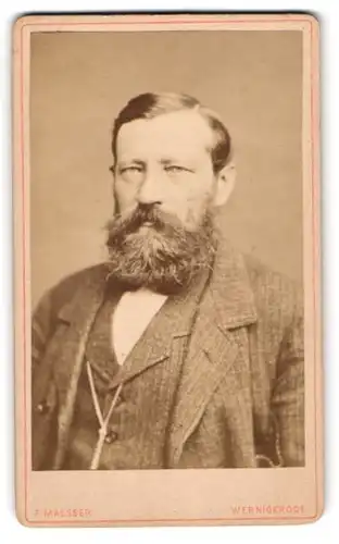 Fotografie F. Maesser, Wernigerode, Stattlicher Herr im Anzug mit grauem Bart