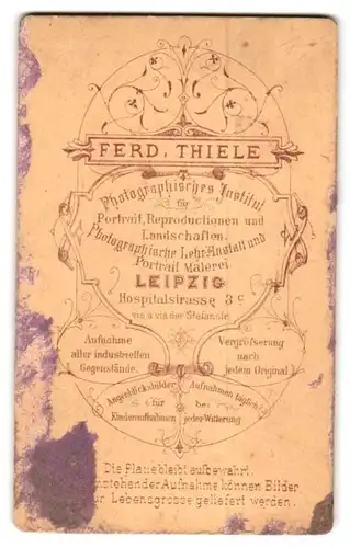 Fotografie Ferd. Thiele, Leipzig, Hospitalstr. 3 c, Junger Mann im Anzug mit Fliege und Einstecktuch