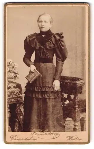 Fotografie Herm. Ludwig, Crimmitschau, Lindenstr., Junge Dame im Kleid mit Buch in der Hand