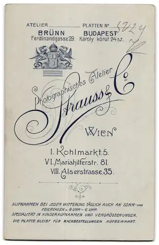 Fotografie Atelier Strauss & Co., Wien I., Kohlmarkt 5, Lächelnde ältere Frau im Sonntagsstaat