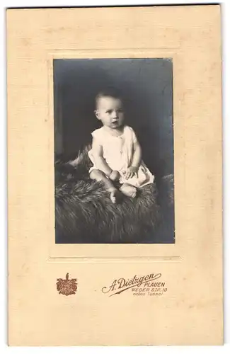 Fotografie A. Dietzgen, Plauen, Weber Strasse 10, Baby im Kleidchen auf einem Fell