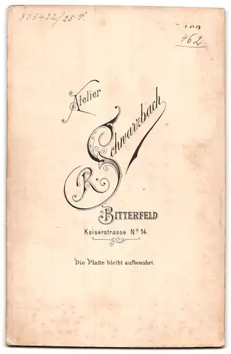 Fotografie R. Schwarzbach, Bitterfeld, Kaiserstrasse 14, Junge Frau mit Stirnlocken in Rüschenbluse