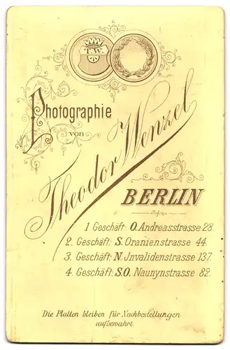 Fotografie Theodor Wenzel, Berlin, Andreasstrasse 28, Portrait junge Frau in schwarzem Kleid mit Brosche