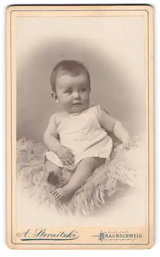 Fotografie A. Sternitzki, Braunschweig, Steinweg 10, Portrait Baby auf Lammfell