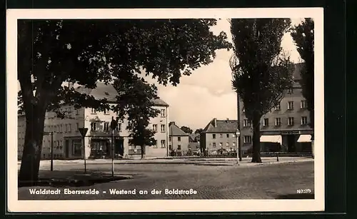 AK Eberswalde, Westend an der Boldstrasse