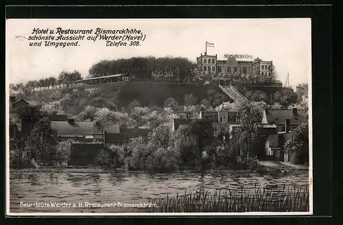 AK Werder /Havel, Hotel-Restaurant Bismarckhöhe während der Baumblüte