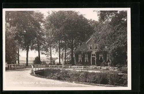 AK Noordscheschut, Kweekerij Blokland te Noordsche Schut