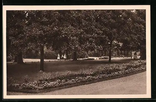 AK Haarlem, Wandeltuin