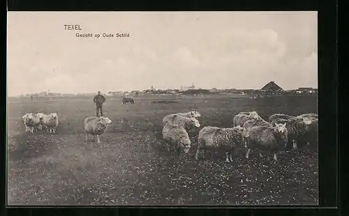 AK Texel, Gezicht op Oude Schild