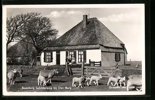 AK Texel, Boerderij Schilderweg bij Den Burg