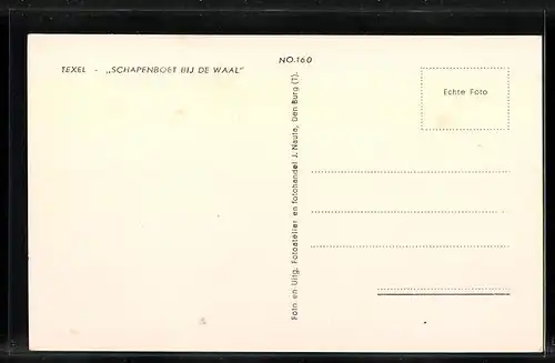 AK Texel, Schapenboet bij de Waal