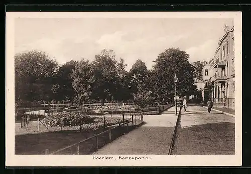 AK Haarlem, Kenaupark