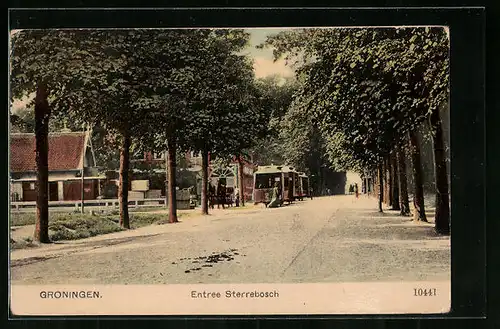 AK Groningen, Entree Sterrebosch