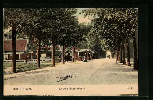 AK Groningen, Entree Sterrebosch