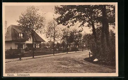 AK Haren, Julianapark