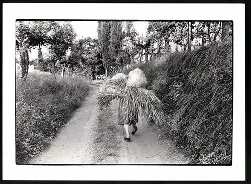 Fotografie Magda Hoffmann-Taroni, Essen, italienische Bauersfrau trägt getreide nach Hause, Landromantik