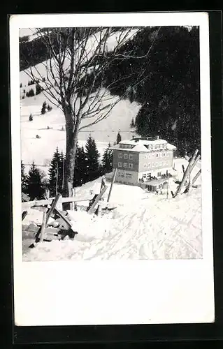 AK Dr.-Karl-Renner-Haus, Saalbach, Hinterglemm