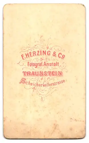 Fotografie F. Herzing & Cie., Traunstein, Scheicherkellerstr., Junger Herr in zeitgenössischer Kleidung