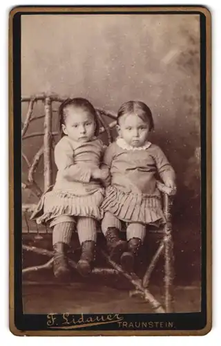 Fotografie F. Lidauer, Traunstein, Bahnhofstr., Zwei Kleine Mädchen in Kleidern