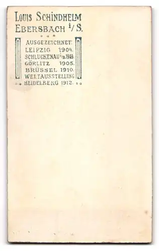 Fotografie Louis Schindhelm, Ebersbach i /S., Junger Herr im Anzug mit Krawatte